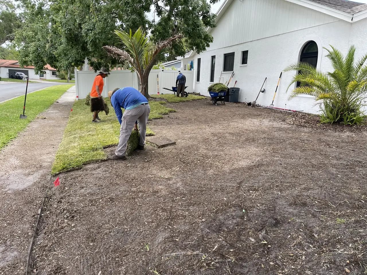 Crew member laying sod across a bare prepped yard beside a white house